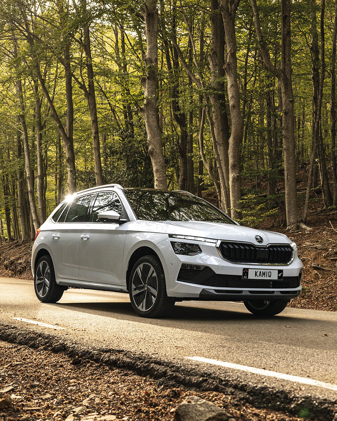 Škoda Kamiq Accessories